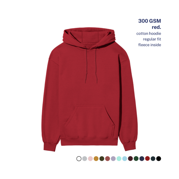 300 GSM Regular Hoodie