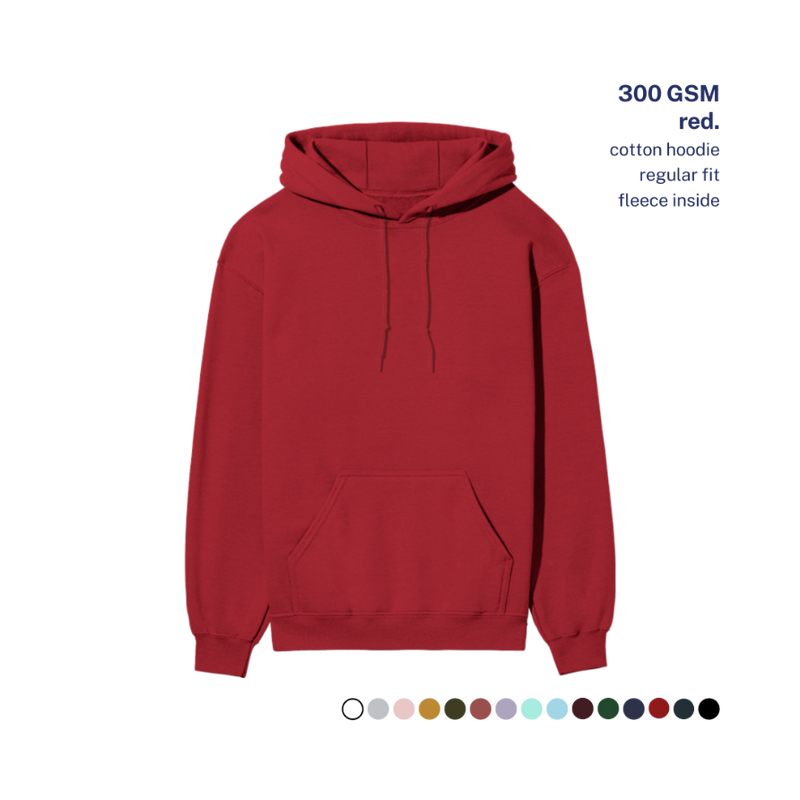 300 GSM Regular Hoodie