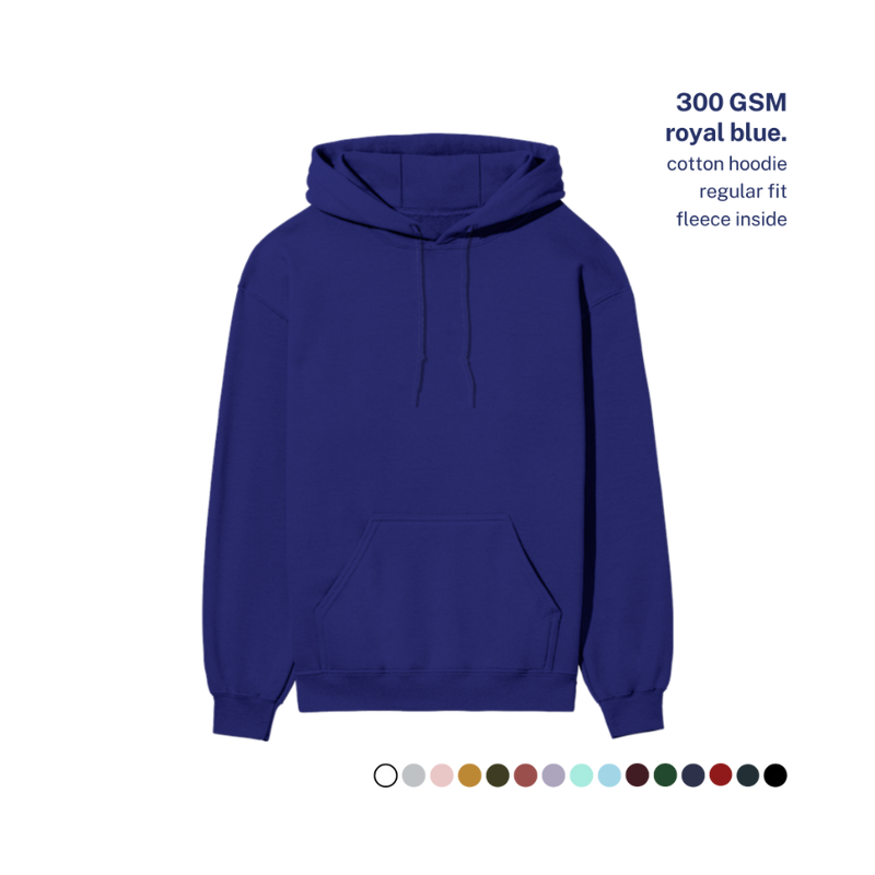 300 GSM Regular Hoodie