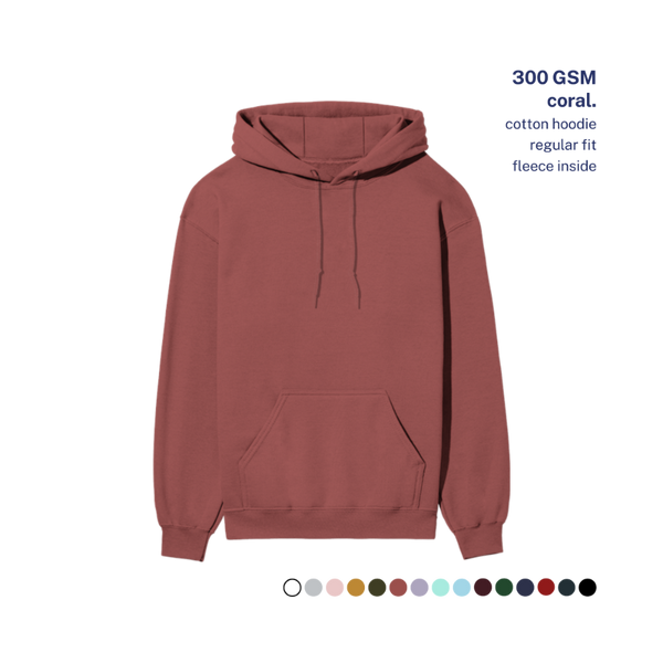 300 GSM Regular Hoodie