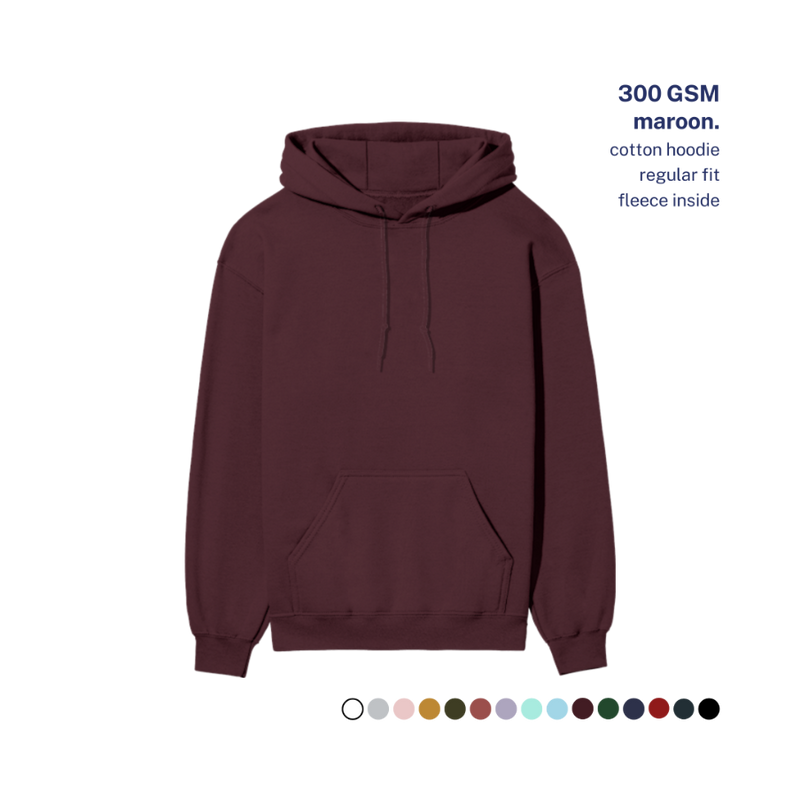 300 GSM Regular Hoodie